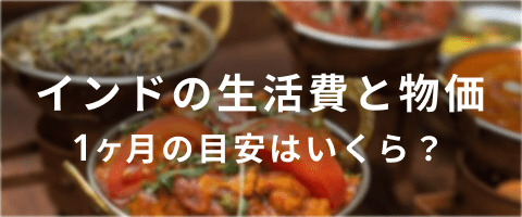 インドで1ケ月暮らすにはいくら必要?現地の方にインタビューしました。