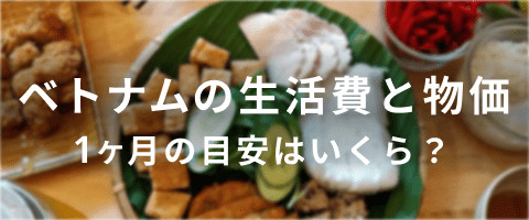 ベトナムで1ケ月暮らすにはいくら必要?現地の方にインタビューしました。