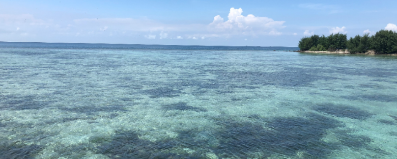 休日の過ごし方 ジャカルタから2時間でバリより綺麗なビーチに インドネシアの秘境リゾート 海外生活 海外勤務 現地レポート