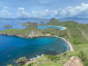 インドネシアの自然遺産・コモド島に生息する伝説のトカゲ、「コモドドラゴン」に会いに行くの巻