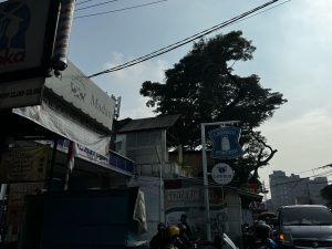 ⭐コンビニのお菓子はまさに “ライフセーバー”！⭐